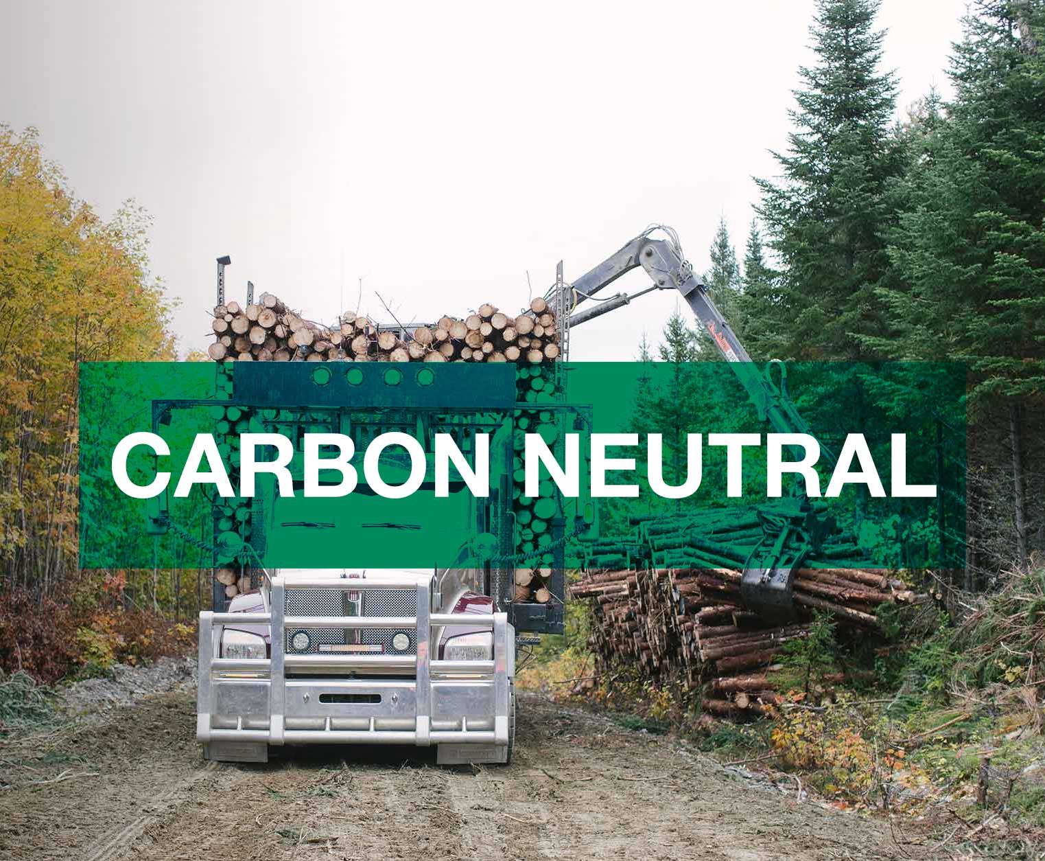 carbon-neutral-tile-2.jpg