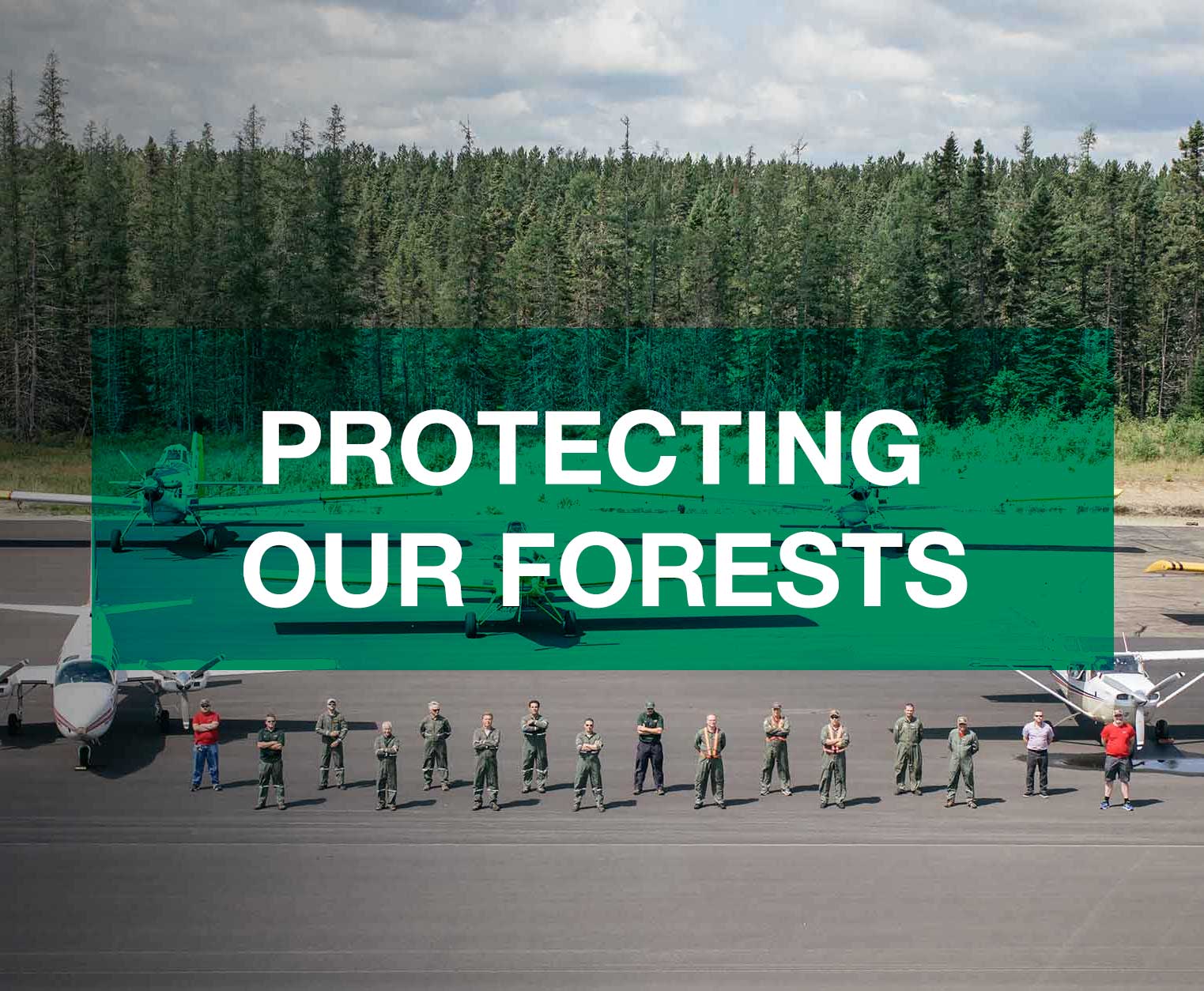 tile-Protecting-Our-Forests.jpg