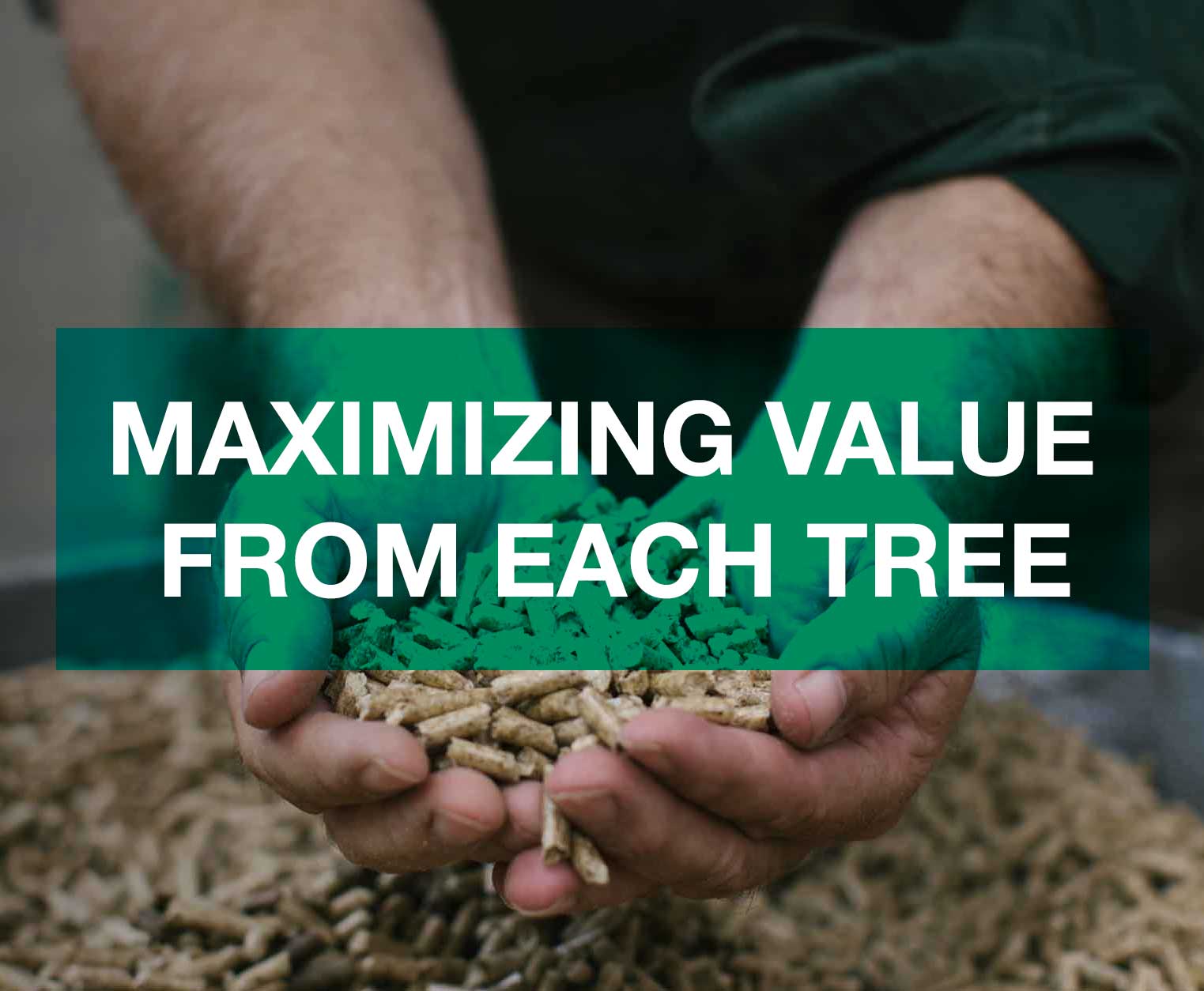 tile-Maximizing-value-from-each-tree.jpg
