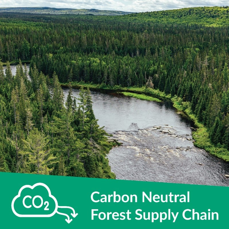 Carbon neutral forest supply chain