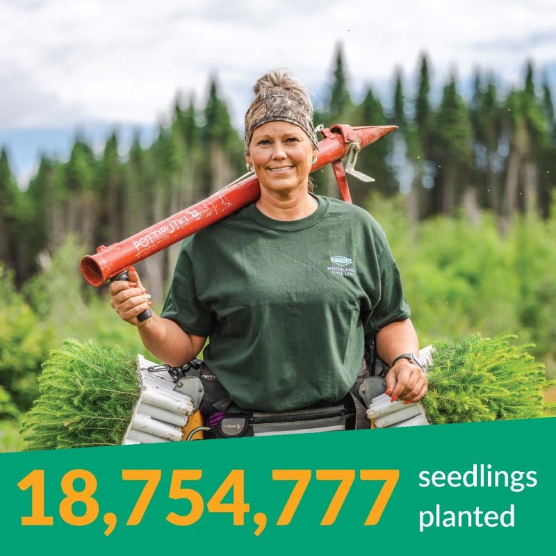 18,754,777 seedlings planted